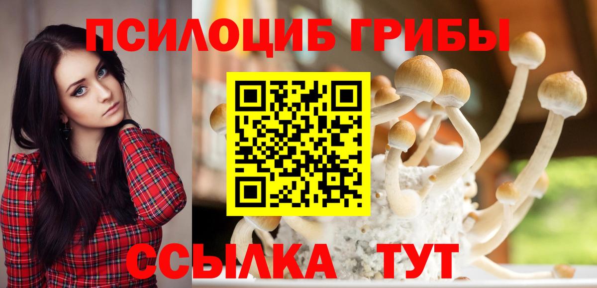 Галлюциногенные грибы Magic Shrooms Рославль